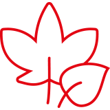 Dachrinnenreinigung in Aislingen und Umgebung